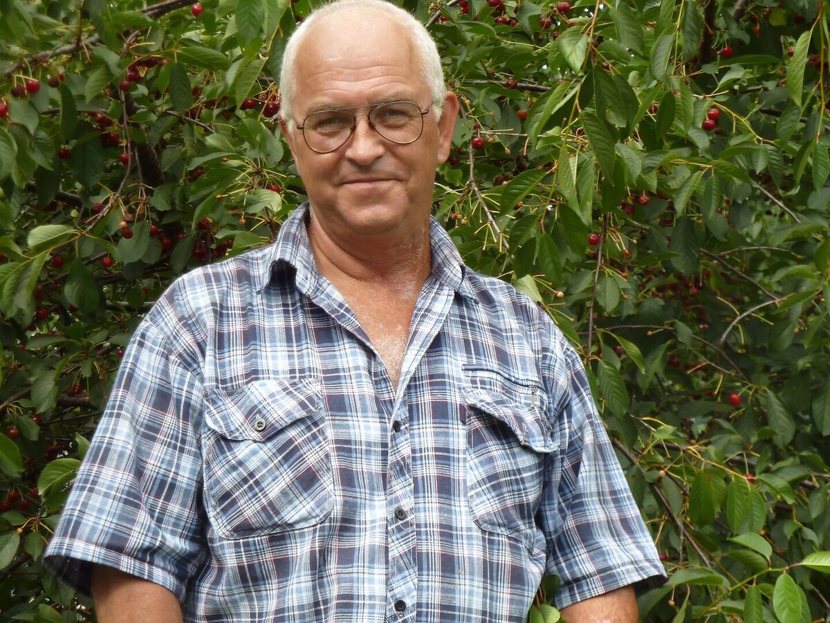 Картинка изсвободного доступа