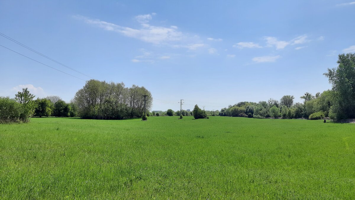 Во время той самой прогулки