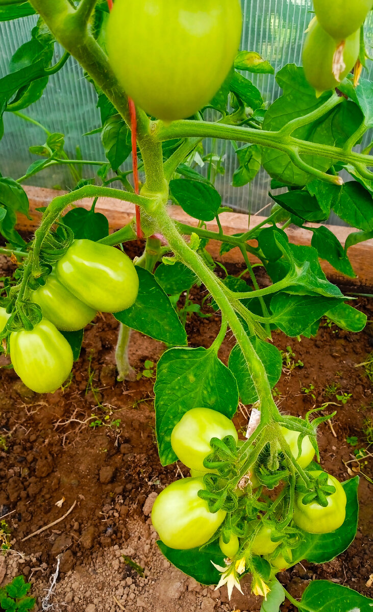 Краса Кургана сейчас