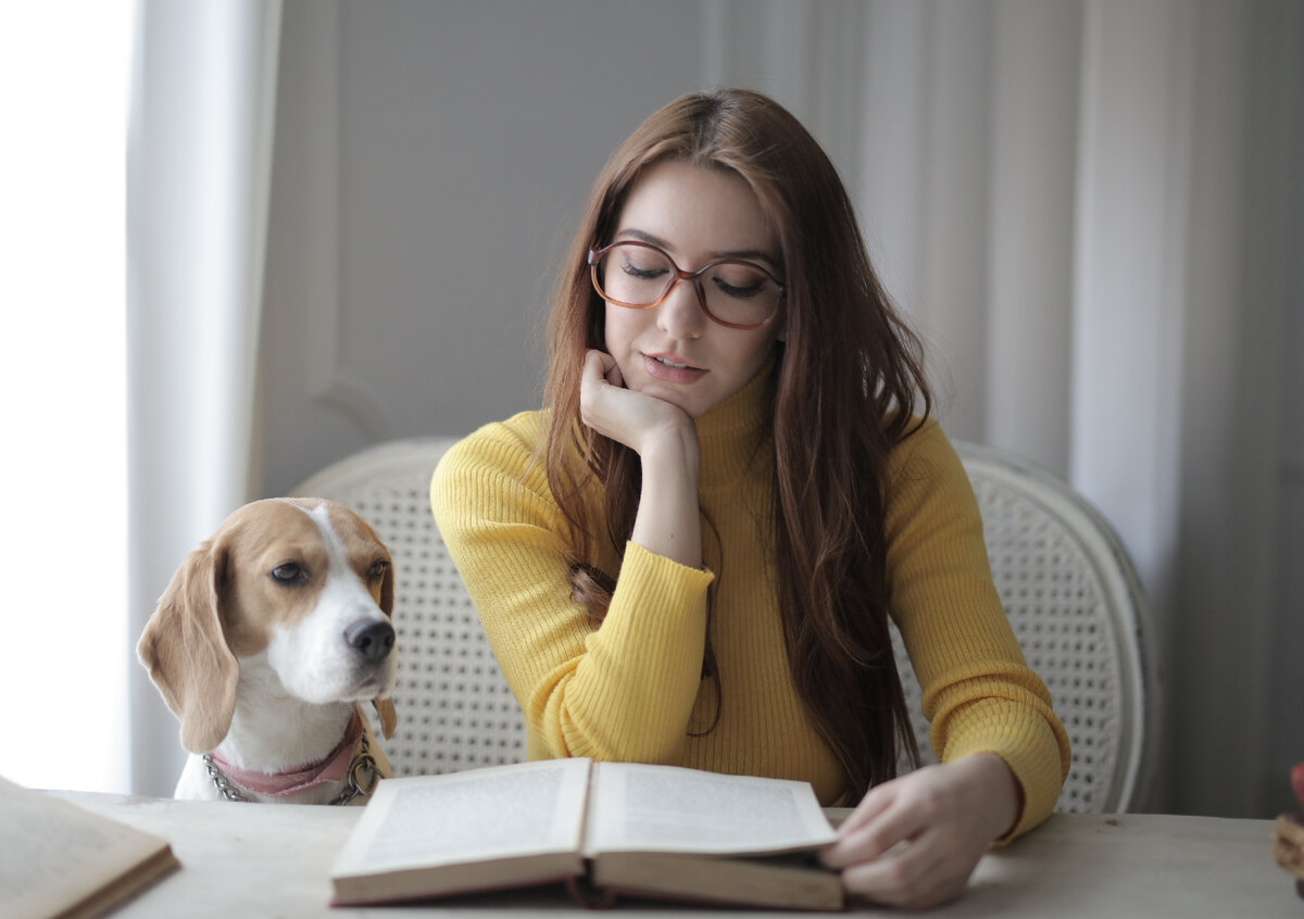 Моя книга