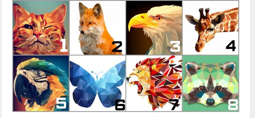 Фото из сети