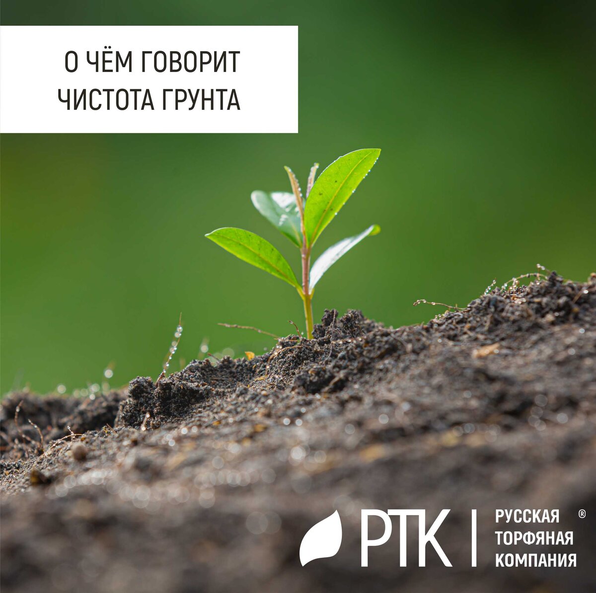           Вот купили вы, предположим, грунт. Не важно, где именно купили. Купили и смотрите. 
И что? Грунт – он везде грунт. Но и тут есть свои особенности. 
Если вы видите или находите наощупь вкрапления корней, остатков растительности, то скорее всего это говорит о том, что грунт «грязный».
Хорошо это или плохо? Если это грунт – то плохо. Не потому, что ничего в таком грунте расти не будет – будет, причём допустимо, что будет не хуже, чем в чистом грунте. Но впечатление - то испорчено… По ГОСТу таких примесей должно быть не больше одного процента, а если этих примесей процентов пятьдесят?.. 
Поэтому у чистых грунтов есть все преимущества. И они бесспорны и понятны.
 Это и высокая степень воздухопроницаемости, и большая влагоёмкость (а она на минуточку в грунтах РТК достигает 600%), и плавная влагоотдача, обеспеченная наличием в грунте перлита, и максимальная всхожесть из-за высокого светопоглащения, и активный рост растений по той же причине и по причине наличия комплекса минеральных удобрений. Вон сколько плюсов.
Так вот, в «грязных» грунтах всего этого может не быть или быть, но не вполне. Другими словами, если одна из этих характеристик по какой-то причине не доходит до нашего «номинала», то падает всё. Сразу падает. Иногда не критично падает, но ведь нам это не нужно... Нам нужно, чтобы любая, повторимся: ЛЮБАЯ характеристика грунта давала максимальный результат.
Так думают в Русской Торфяной Компании, и не только в ней, но и в целом ряде научных предприятий, которые являются нашими партнёрами. И мы не ошибаемся!
Как-то так… 
А теперь главный, с нашей точки зрения, вопрос: чего ждать от почвогрунтовой продукции предприятий, которые не смогли даже по-человечески очистить свои грунты?..
Мы-то за наше качество отвечаем! Поэтому выбирайте из лучших! 
Вырастет всё! Никаких сомнений!
 #продукцияРТК #чистота  #почвогрунты #РТК
