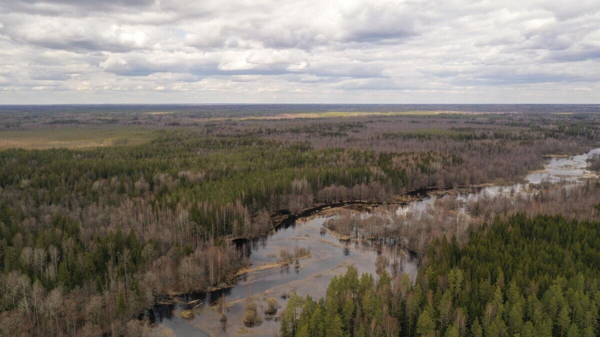    Могильник Бервенец, вид на окрестности кургана© Фото предоставлено ИА РАН