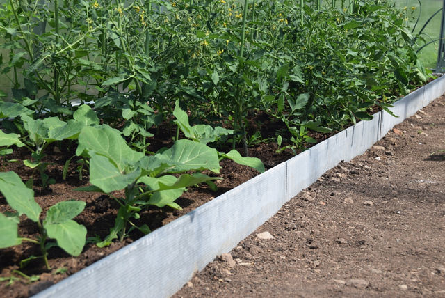 Посадите на высокую грядку любые овощи и цветы 一 результат превзойдет ожидания! 