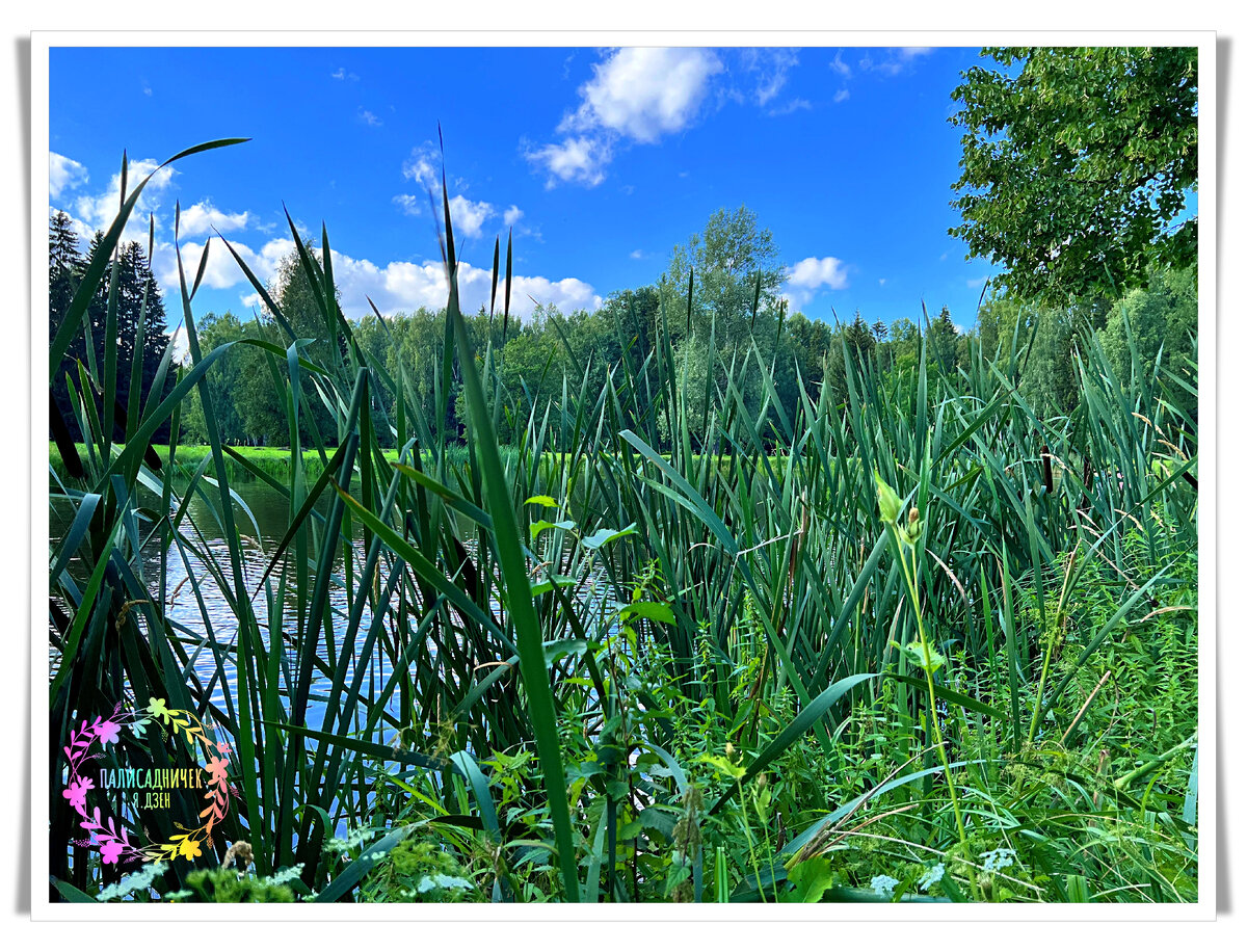 Уж небо осенью дышало... Или нет? Как по вашим ощущениям?