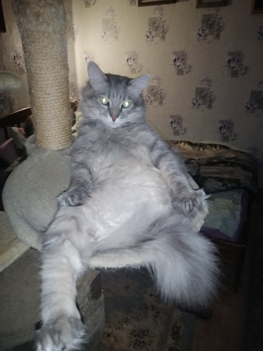 Любимая поза Барина