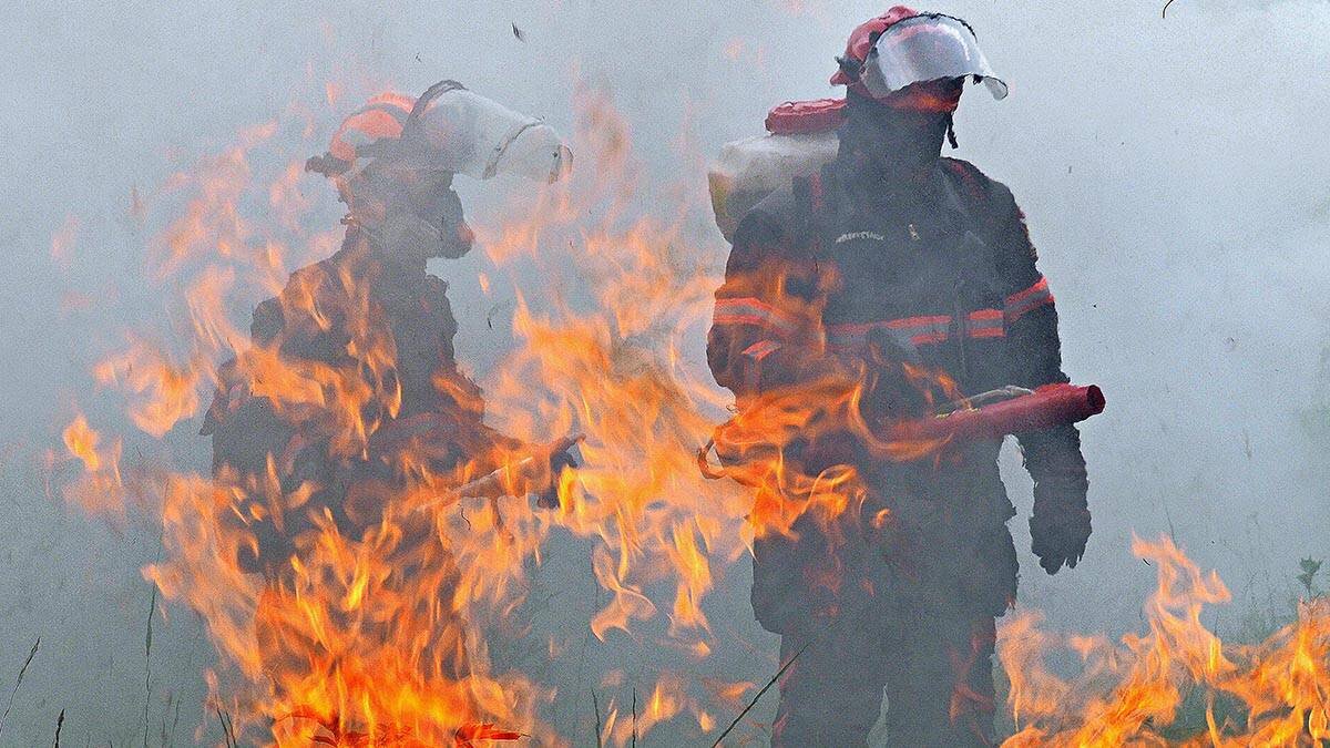    Фото: Павел Волков / Вечерняя Москва