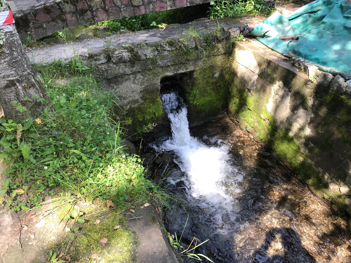 На территории 