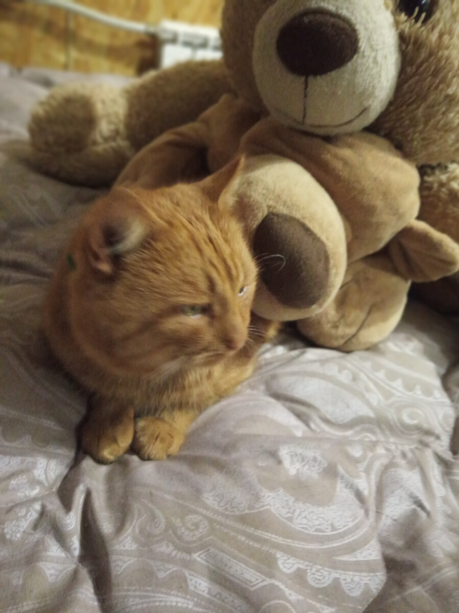 Я любил хозяйку, а она меня, жили-не тужили день мы ото дня...