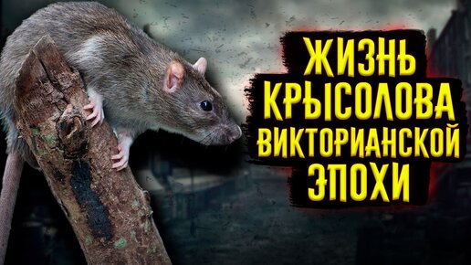 Что, если бы вы стали викторианским КРЫСОЛОВОМ на один день?