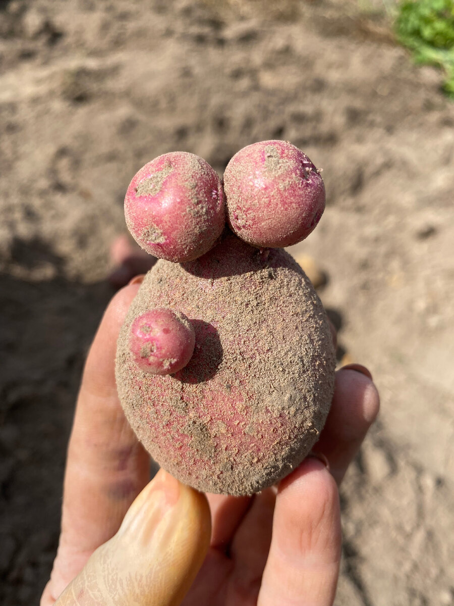 Личное фото 