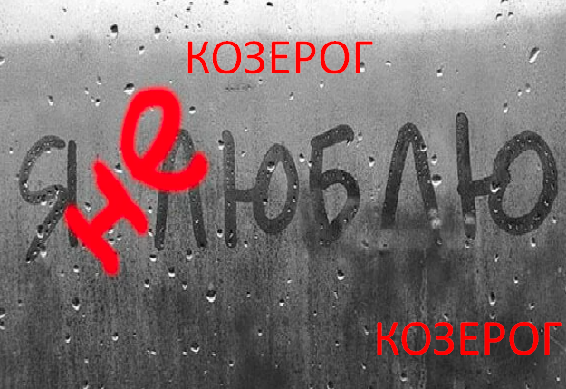 Фото из открытого источника Яндекс