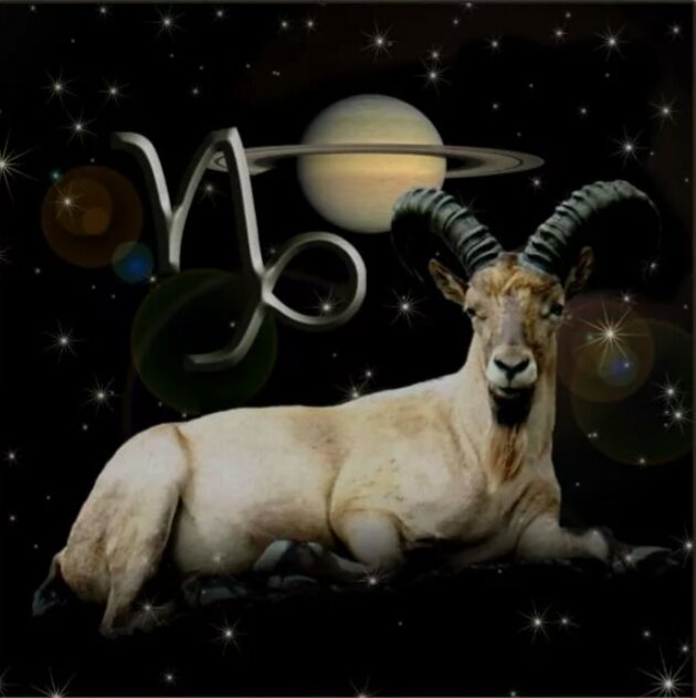 Фото из открытого источника 