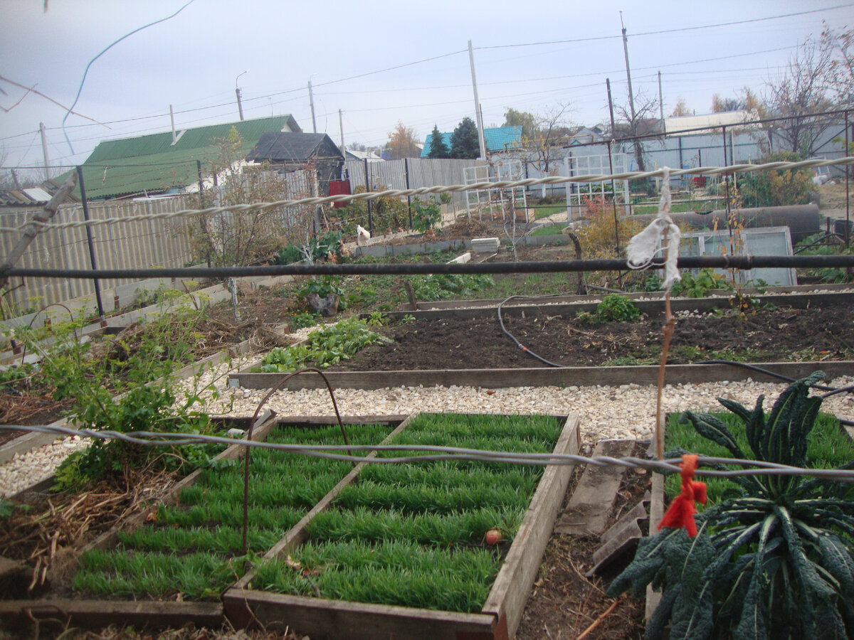 осень прошлого год