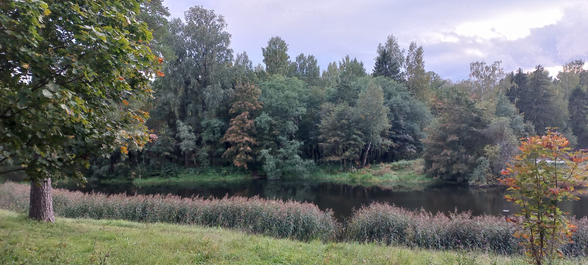 Осенний вид Приоратского парка
