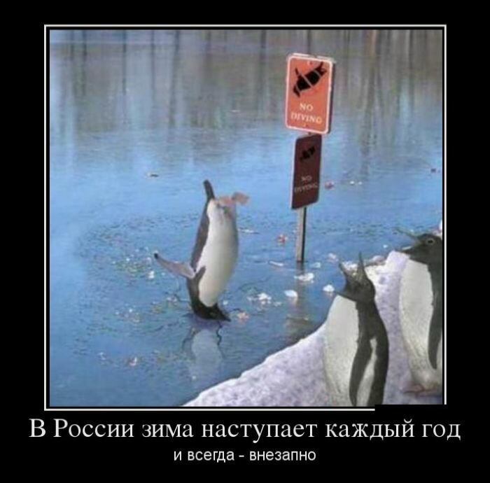 картинка из интернета.