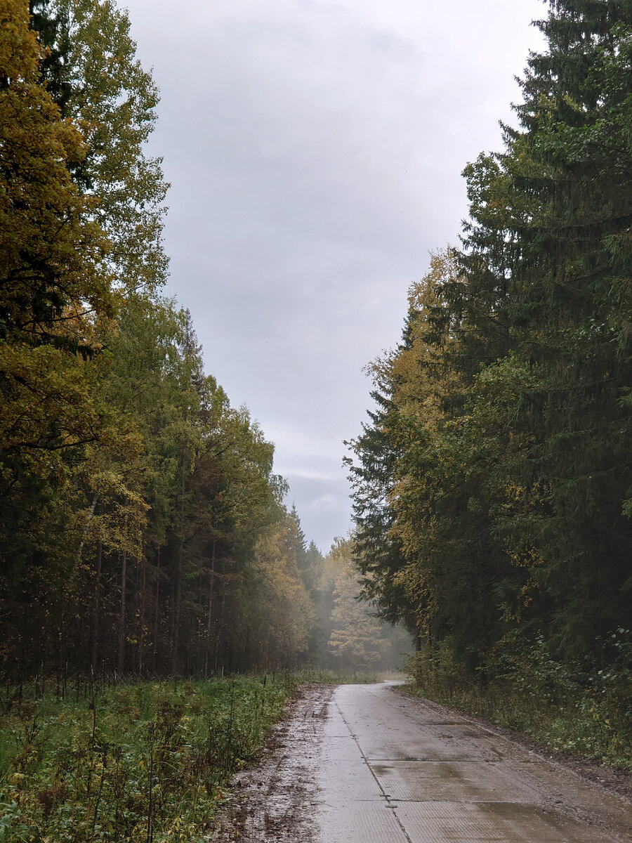 Там за туманами...