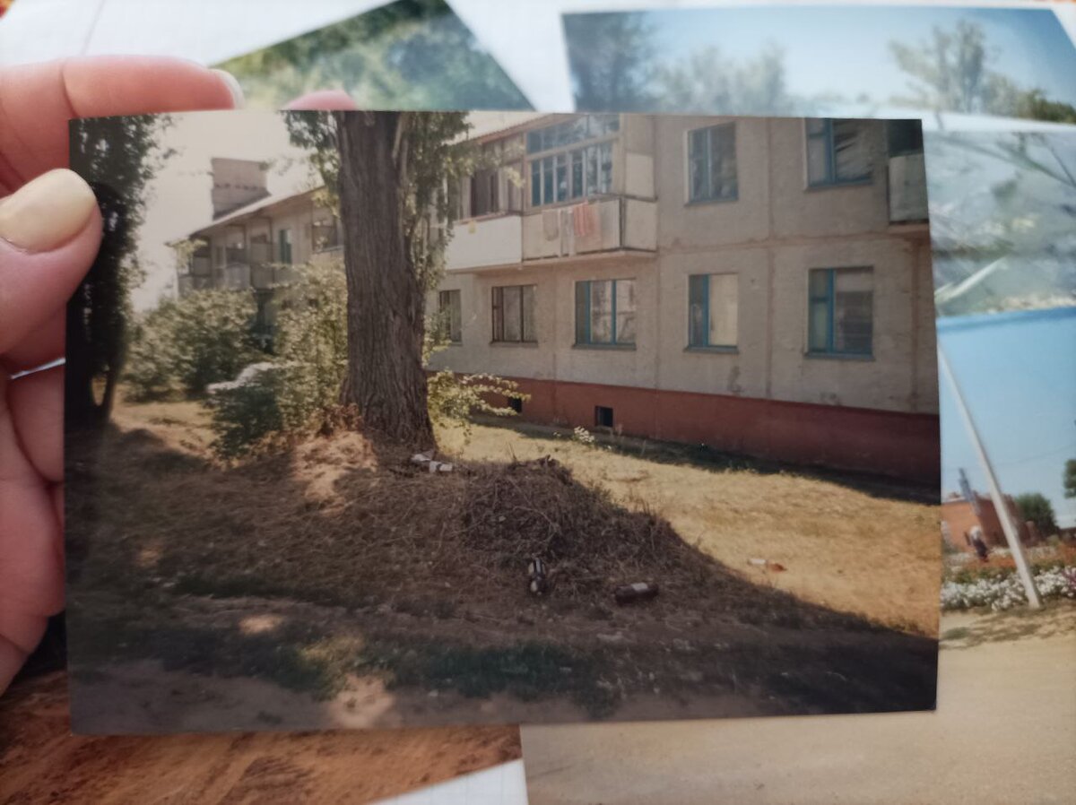 "Городские" ансамбли - 5-этажки здесь максимум среди "высоток".