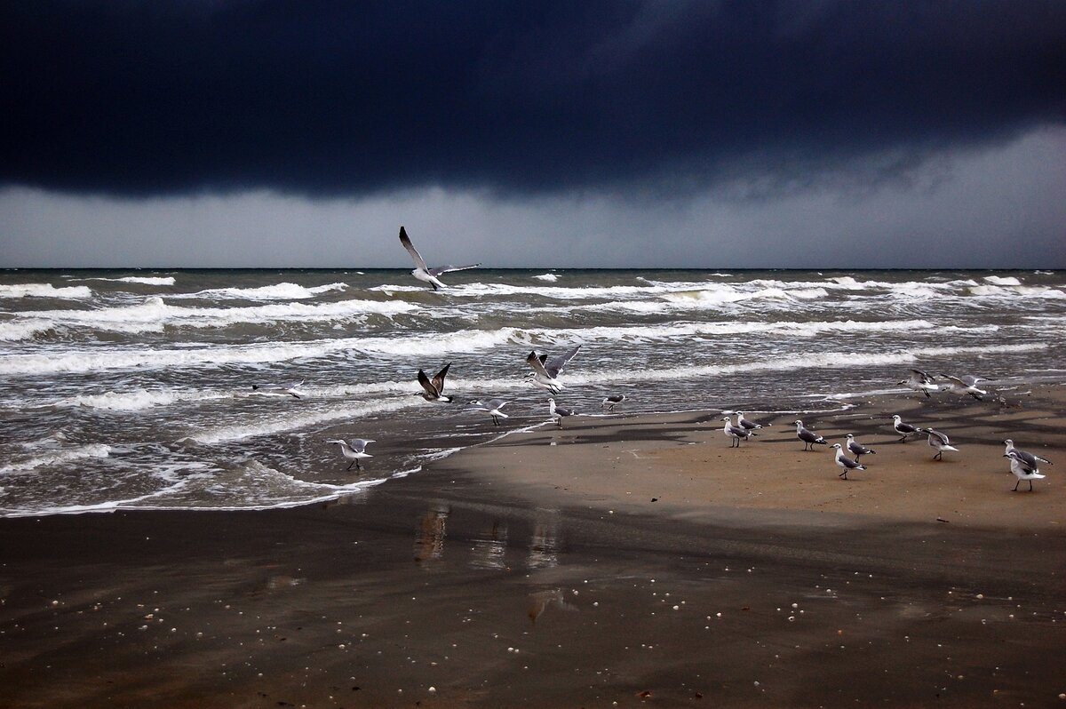 Грозовые тучи над Мексиканским заливом. Фото - Американский вопрос ©