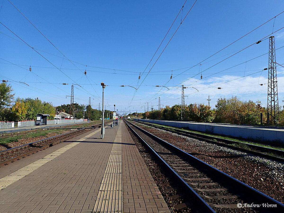 Велопробег, длиной в 70 километров | Иду за солнцем... | Дзен