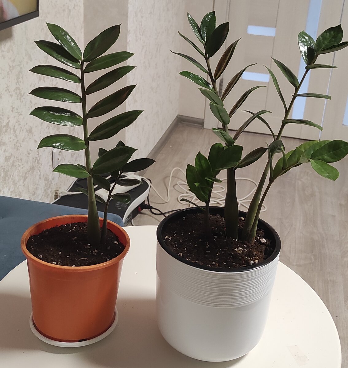 Из одного два