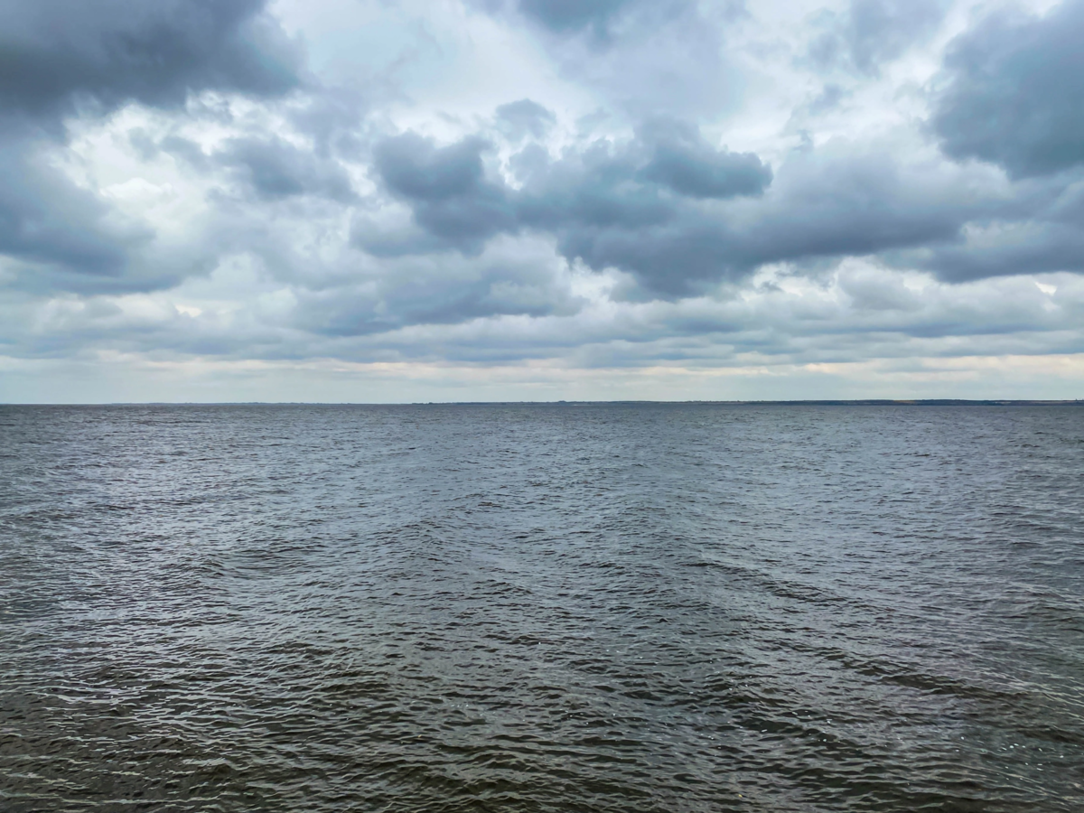 Красивый город Камышин и широкая Волга-матушка | Прекрасное рядом | Дзен