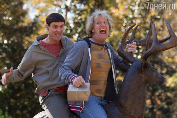    «Тупой и еще тупее 2», 2014 кадр из фильма