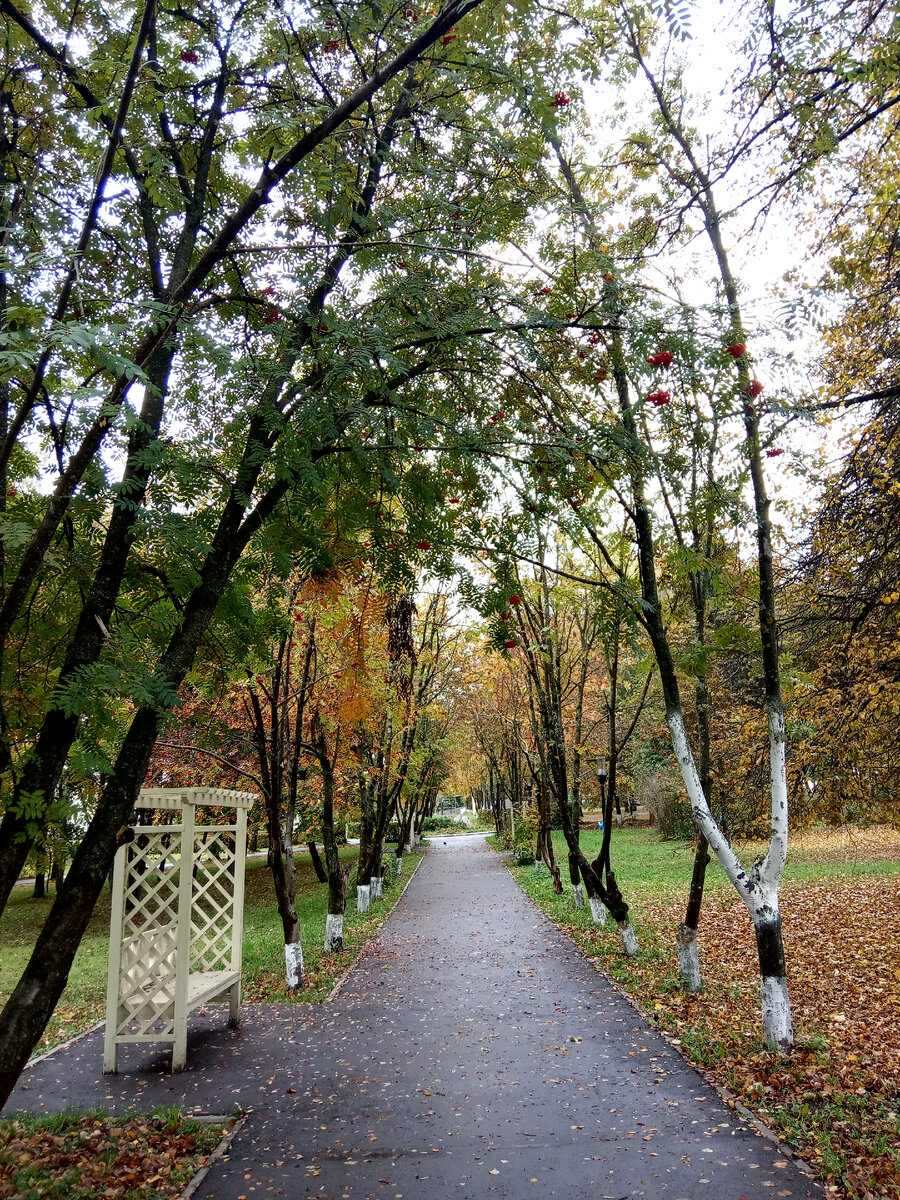 Фото автора.