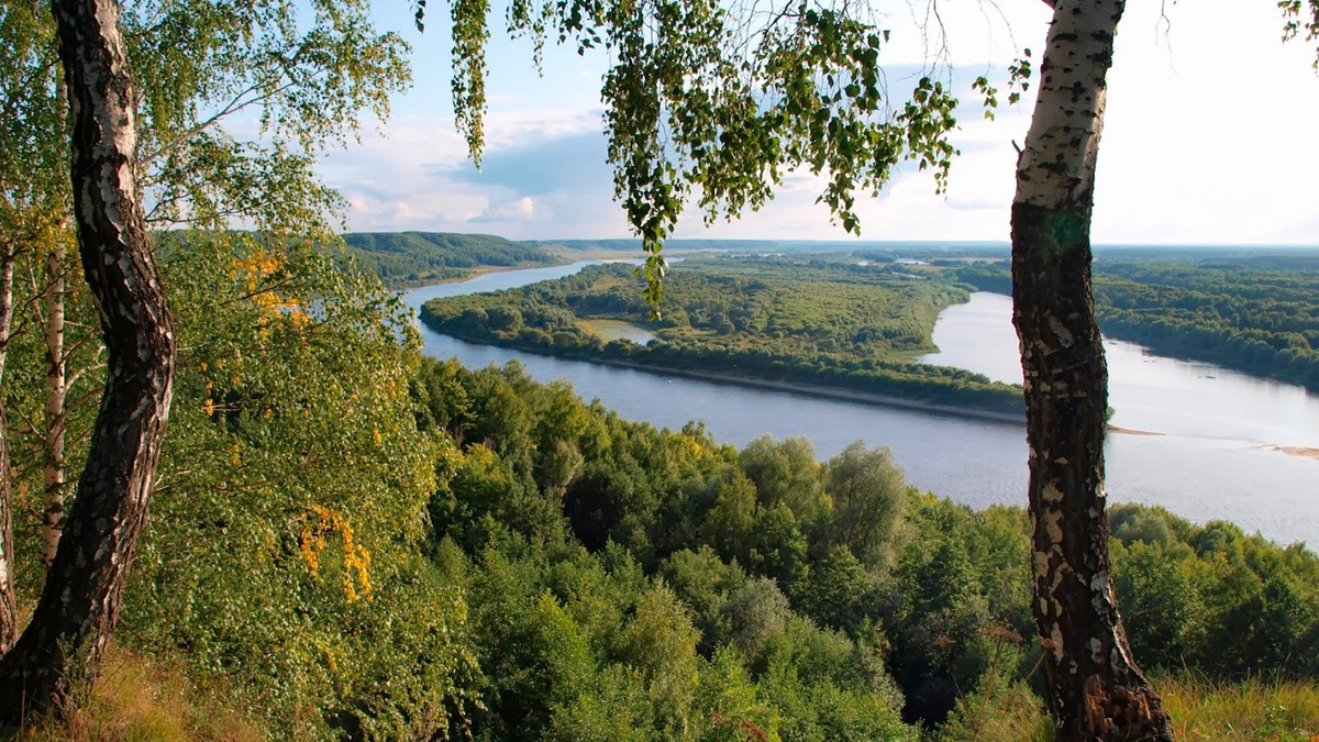 Яндекс картинки