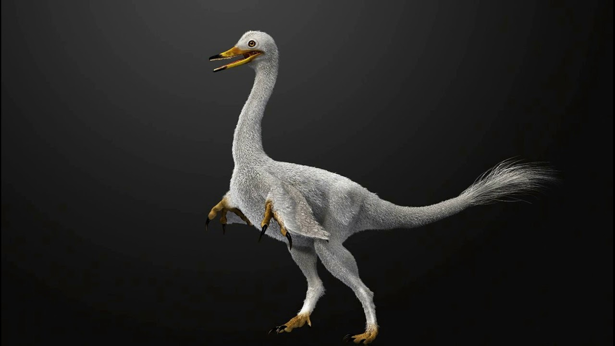 Утку-пиранью заказывали?