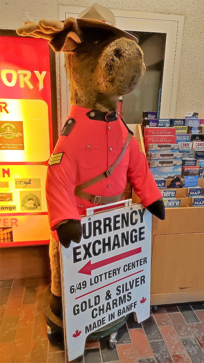 В одном из магазинов лось в рост человека г. Банф, Канада
