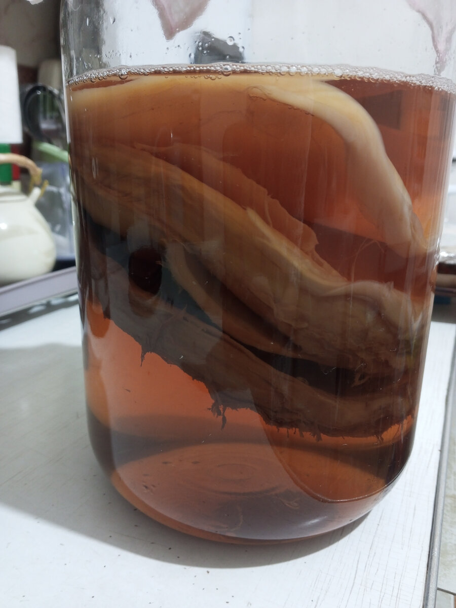 Мой живет в 5 л банке, разделила и отдам часть знакомой