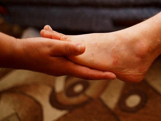 © ФОТО: ИД «ВОЛГОГРАДСКАЯ ПРАВДА» / АРХИВ.