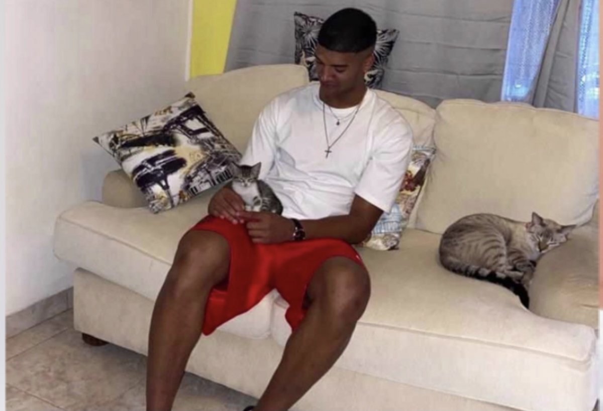    Уфимский колумбиец Дилан Ортис проводит новогодние каникулы в кругу кошек