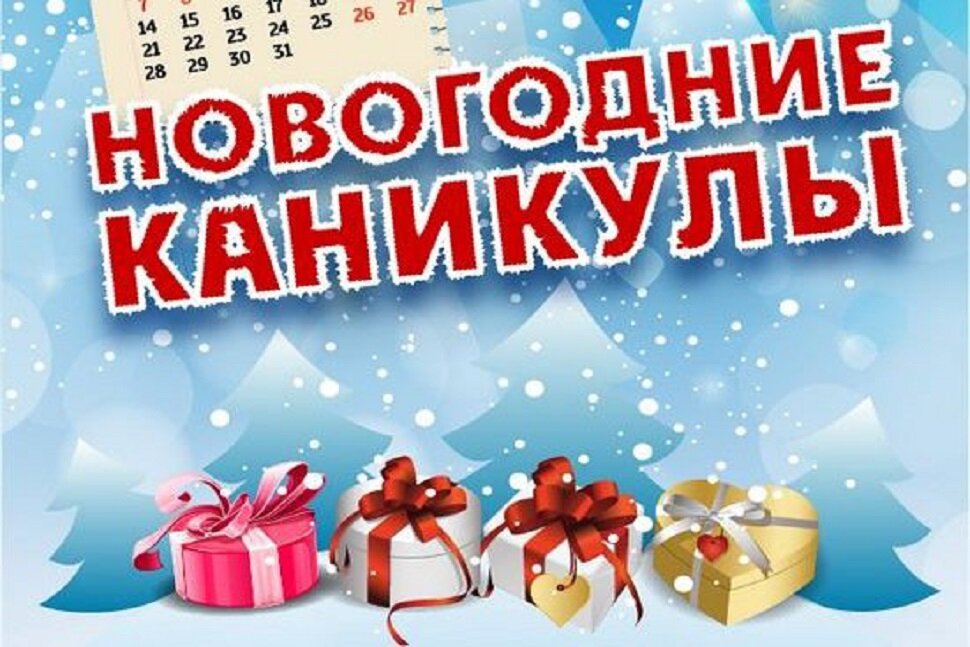 Новогодние каникулы