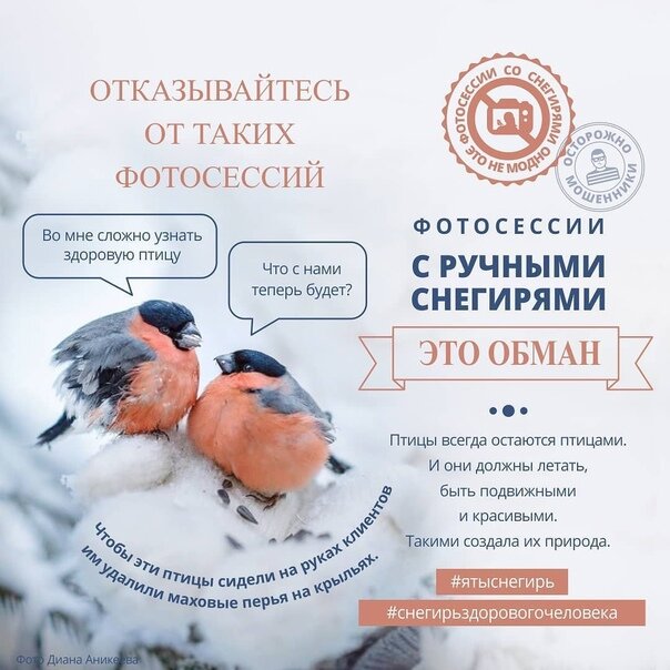 Инфографика от проекта Улитка Марта