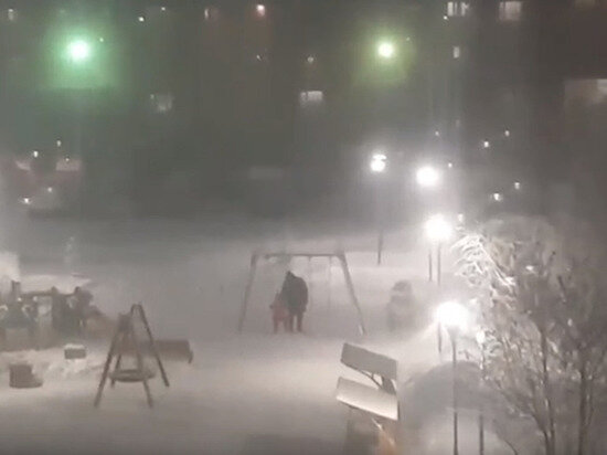     Фото: vk.com ЧП ДТП Новый Уренгой