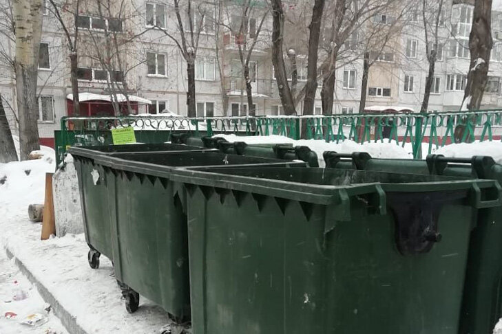    Одиннадцать тонн новогоднего мусора вывезли из Новосибирска. Фото «Экология-Новосибирск»