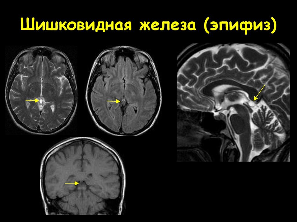 Диагностика