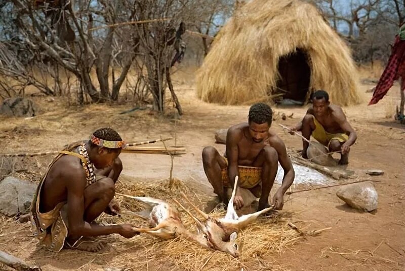 Разделка добычи