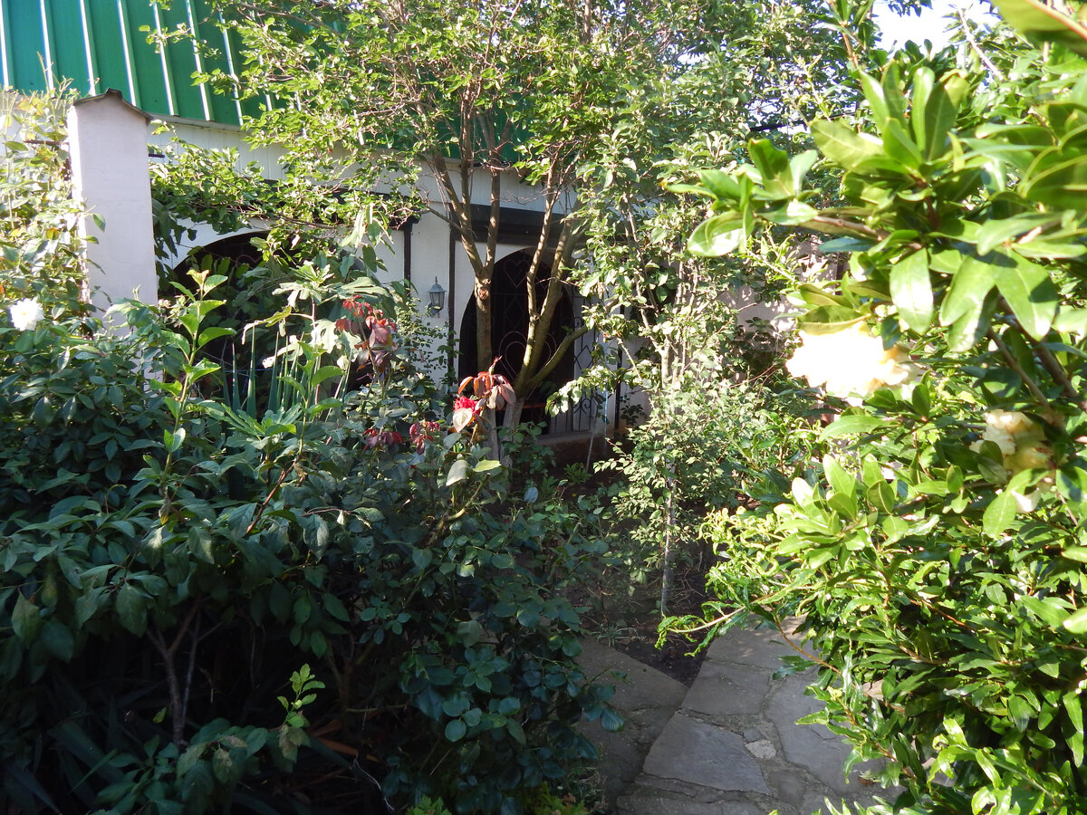 Бунгало у Петровича (листайте - несколько снимков)