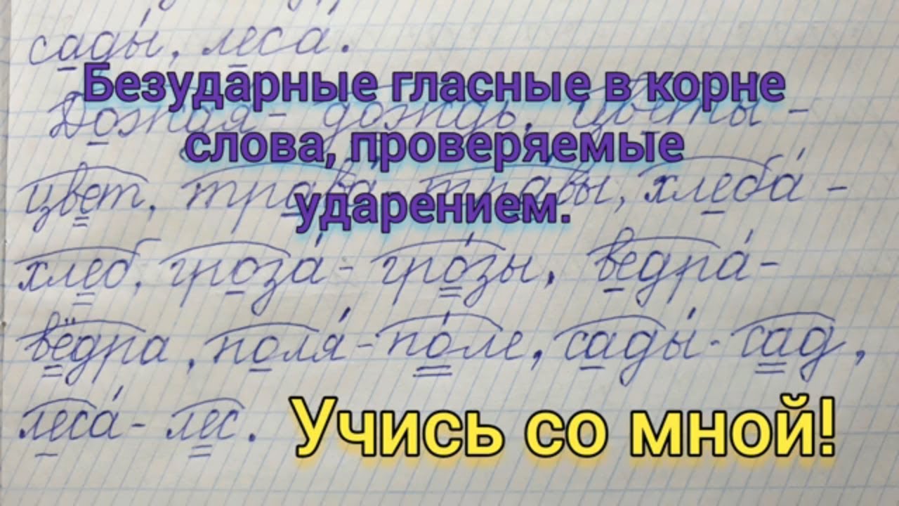 Диктант по русскому языку по теме Безударные гласные в корне слова. Учись  со мной!