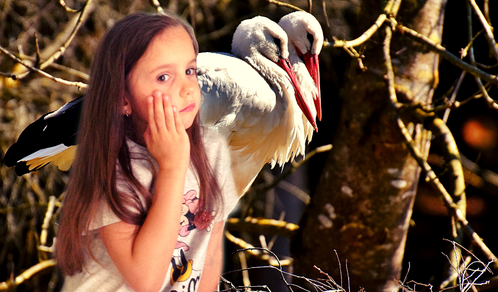 Хорошо, что хоть не в капусте!