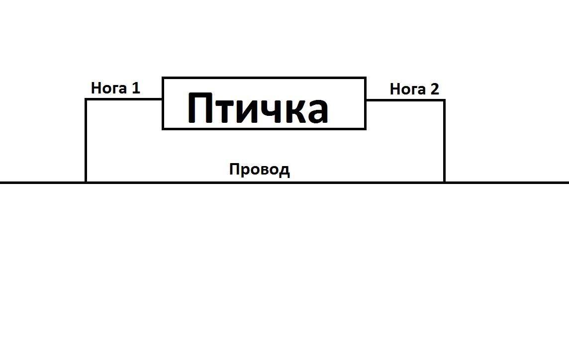 Почему птицы сидят на проводах под огромным напряжением, а их не бьёт током?2