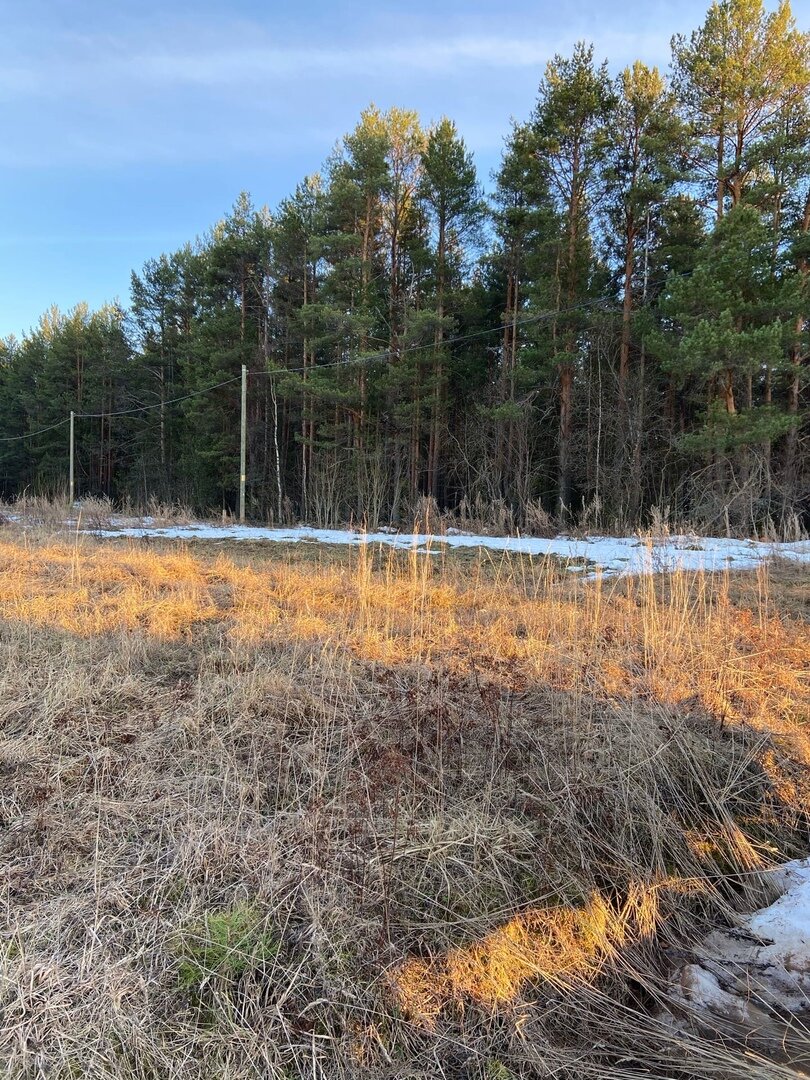 На фото участок до выравнивания