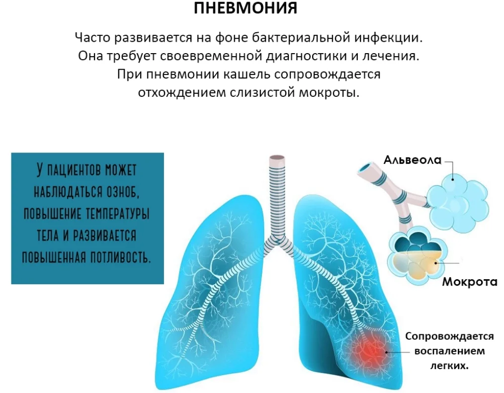 Как отличить пневмонию от бронхита? | Evolutis Clinic | Дзен