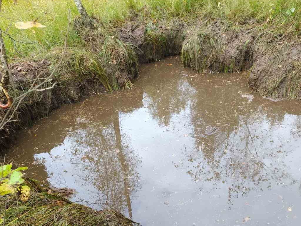 Вот примерно из таких ям мы и черпали воду, пока они не пересыхали(((