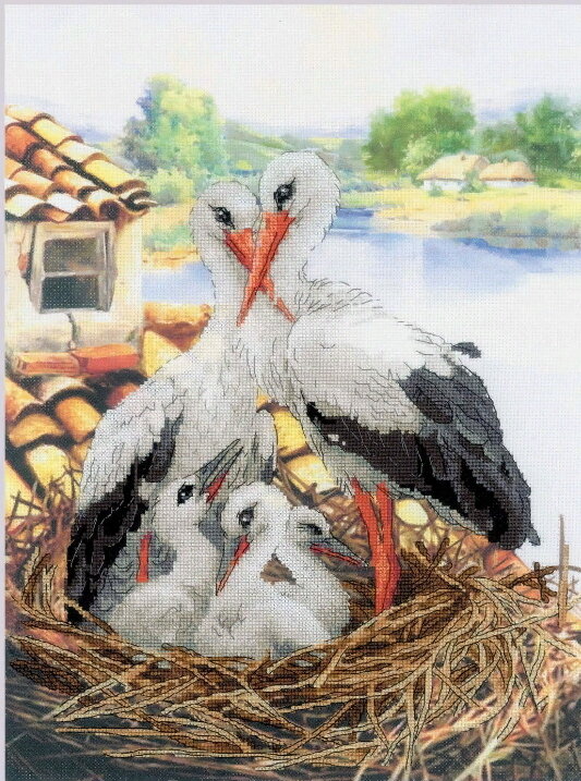 фото с сайта www.riolis.ru