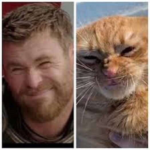 картинка из интернета