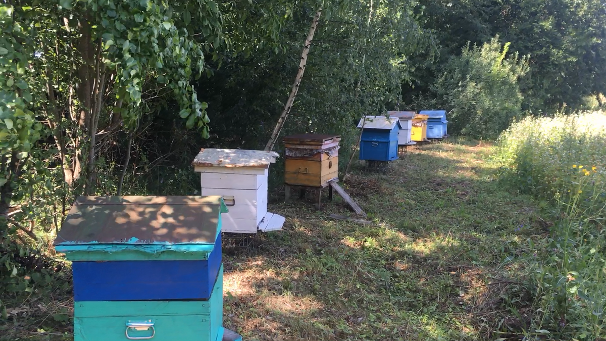 фото из архива